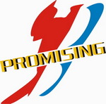 QINGDAO PROMISING INTERNATIONAL CO., LTD. auf Truck1